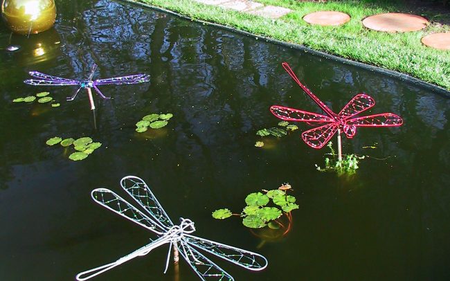 Reflecting pond with jeweled dragonflies