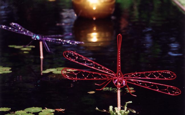 Jeweled dragonflies