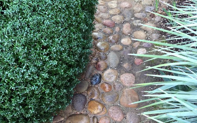 Rounded cobbles among textured plantings