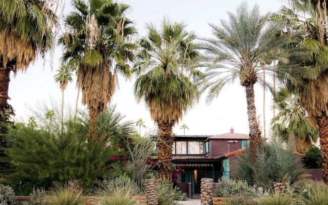 Raisin-colored house in lush desert oasis